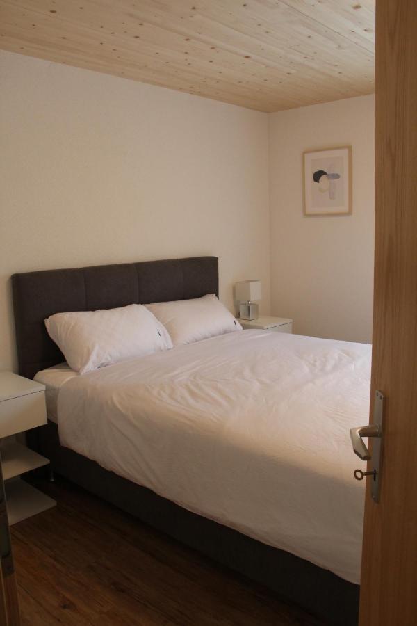 Mountain Oasis Apartment Kandersteg-Adelboden Kandergrund エクステリア 写真