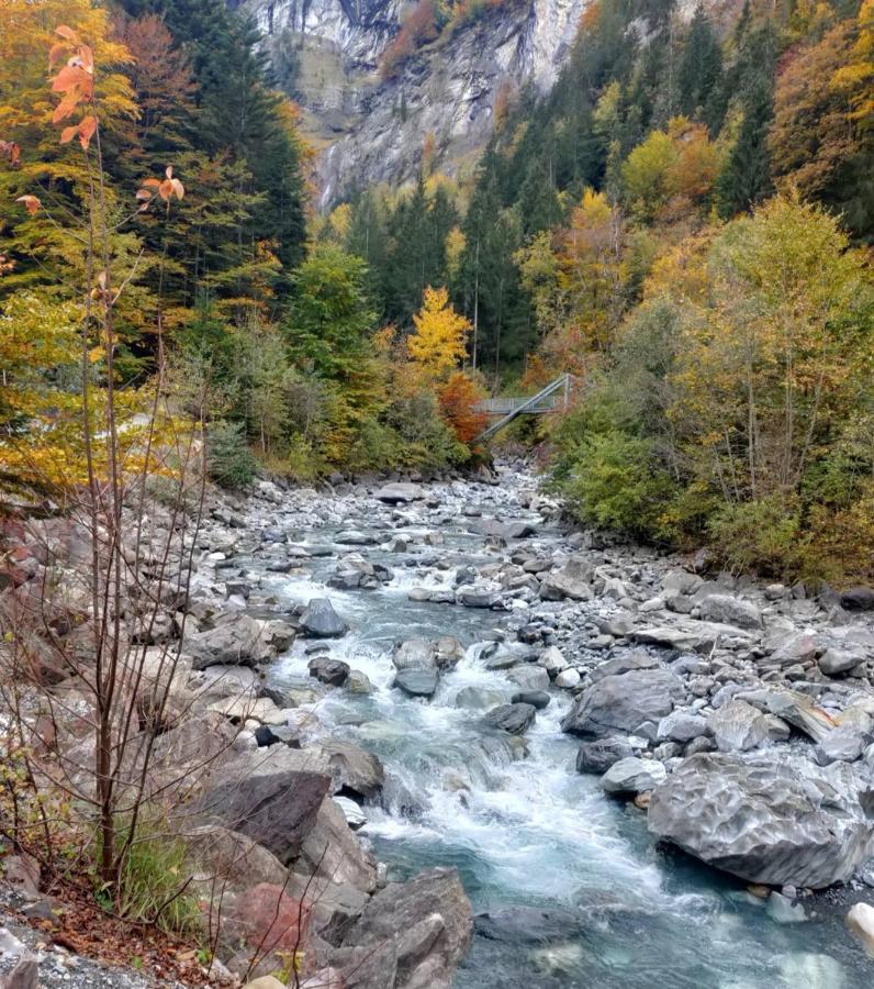 Mountain Oasis Apartment Kandersteg-Adelboden Kandergrund エクステリア 写真