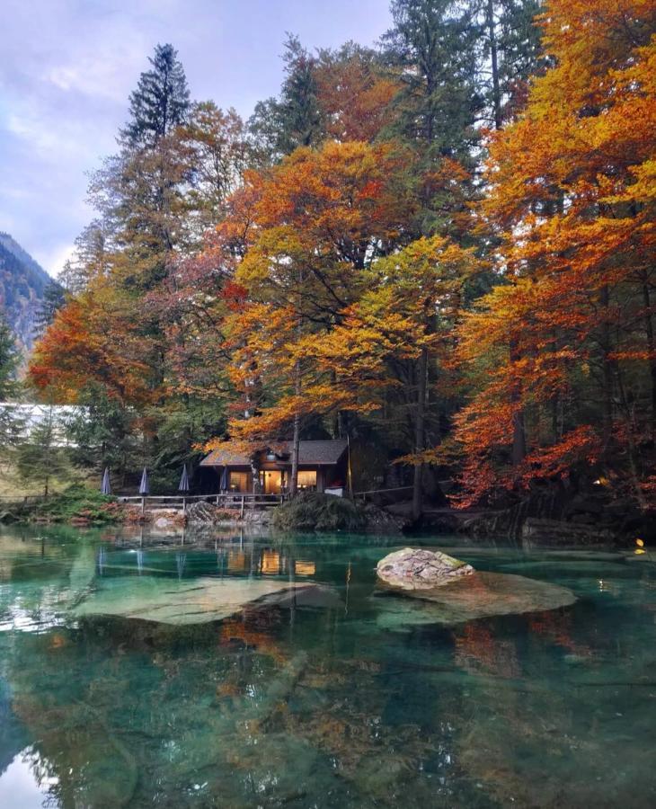 Mountain Oasis Apartment Kandersteg-Adelboden Kandergrund エクステリア 写真