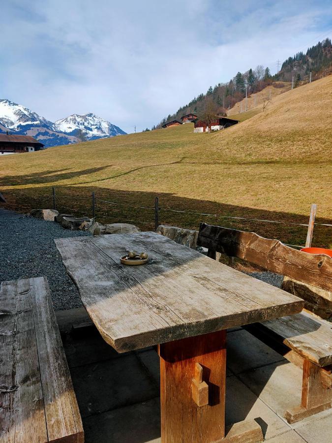 Mountain Oasis Apartment Kandersteg-Adelboden Kandergrund エクステリア 写真