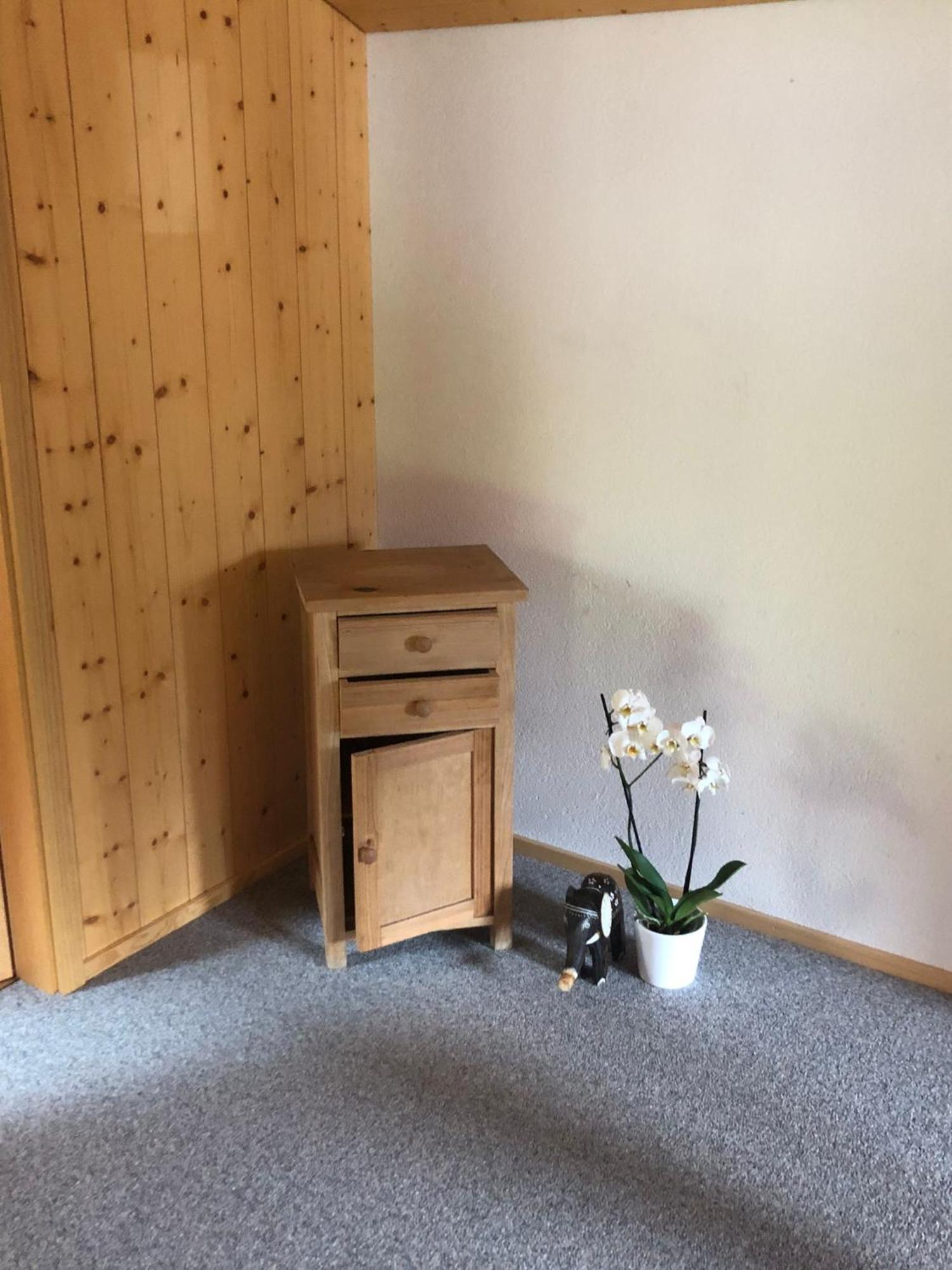 Mountain Oasis Apartment Kandersteg-Adelboden Kandergrund エクステリア 写真